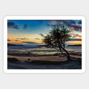 Rockcliffe Bay Sunset Sticker